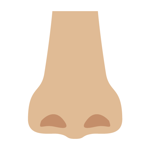 Nose: Medium-Light Skin Tone, the previous design