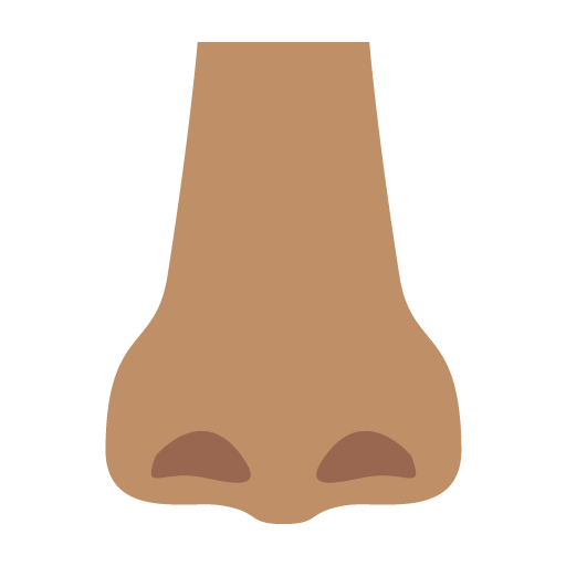Nose: Medium Skin Tone, the previous design
