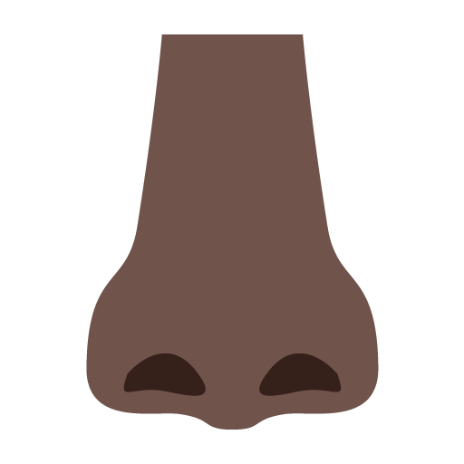 Nose: Dark Skin Tone, the previous design