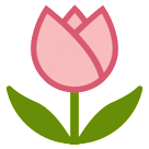 Tulip as drawn by HTC in Sense 7
