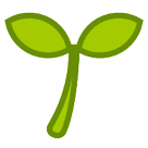 seedling as rendered by HTC