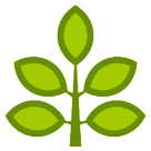 herb as rendered by HTC