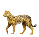 Leopard as drawn by Huawei in Harmony OS 4.0