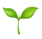 seedling as rendered by Huawei