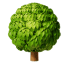 落葉樹 as rendered by Huawei