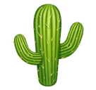 cactus as rendered by Huawei