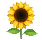 Sonnenblume as rendered by Huawei