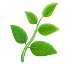 herb as rendered by Huawei