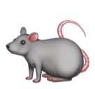 Rat as drawn by Huawei in Harmony OS 5.0