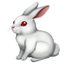 أرنب as rendered by Huawei