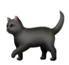 black cat as rendered by Huawei