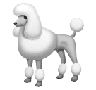 poodle as rendered by Huawei