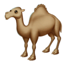 ラクダ as rendered by Huawei