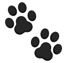 paw prints as rendered by Huawei