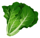 leafy green as rendered by Huawei