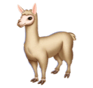 llama as rendered by Huawei