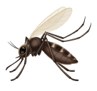 mosquito as rendered by Huawei