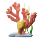 coral as rendered by Huawei