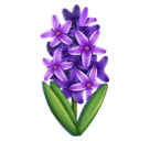 hyacinth as rendered by Huawei