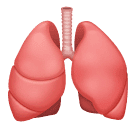 lungs as rendered by Huawei