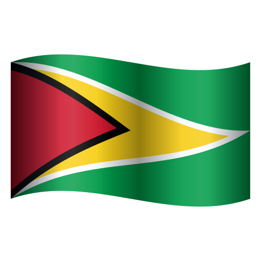 flag: Guyana as rendered by Icons8