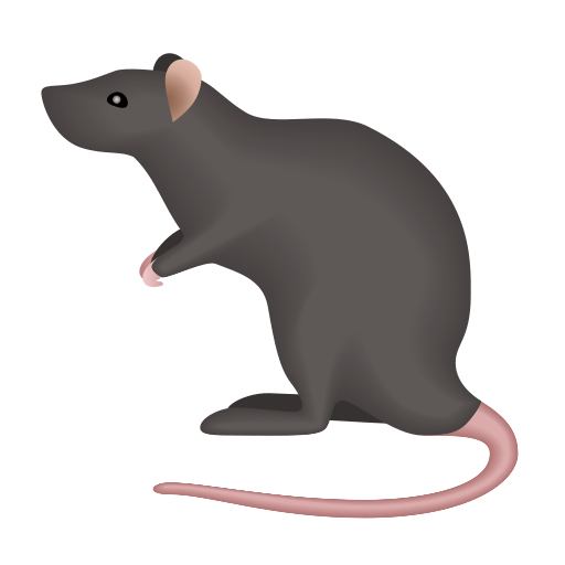 ratto as rendered by Icons8