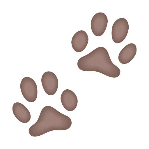 paw prints as rendered by Icons8