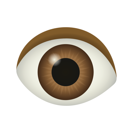 eye as rendered by Icons8