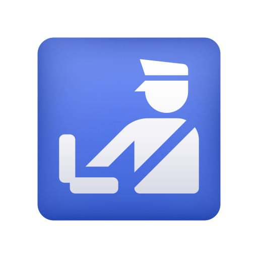 customs as rendered by Icons8