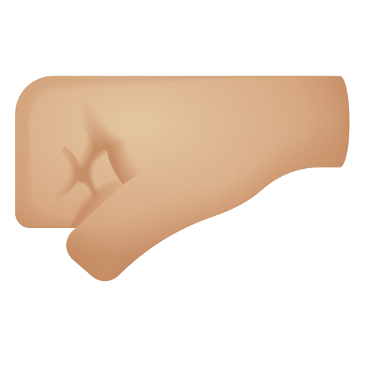 left-facing fist: medium-light skin tone as rendered by Icons8
