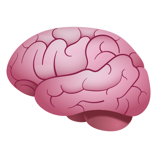 Brain as drawn by Icons8 in 14.0