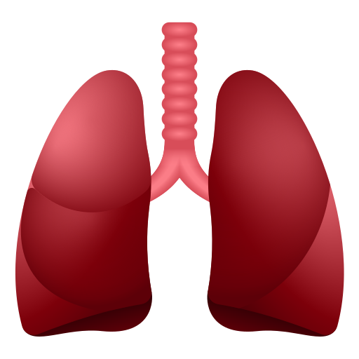 lungs as rendered by Icons8