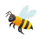 Honeybee, the design in this release