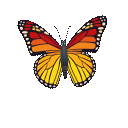 butterfly as rendered by JoyPixels Animations