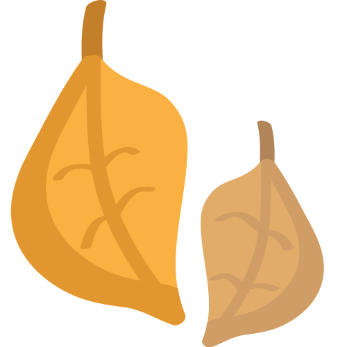 Fallen Leaf as drawn by JoyPixels in 1.0
