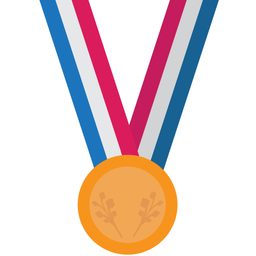Sports Medal, the previous design