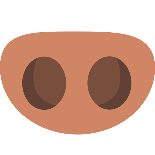 Pig Nose, the previous design