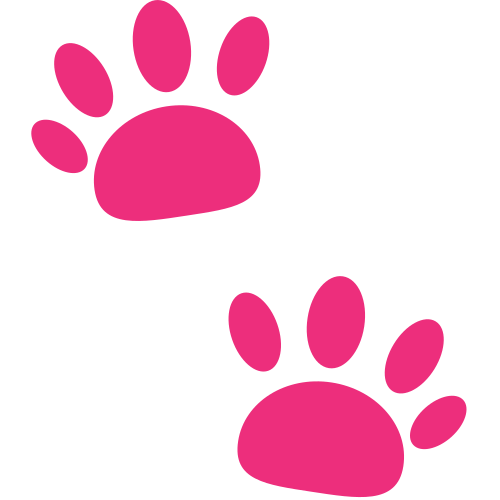 Paw Prints, the previous design
