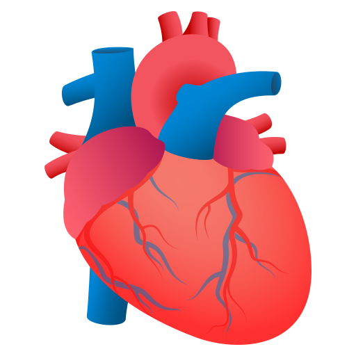 anatomical heart — JoyPixels