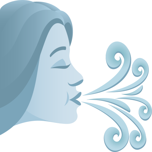 Wind Face as drawn by JoyPixels in 11.0
