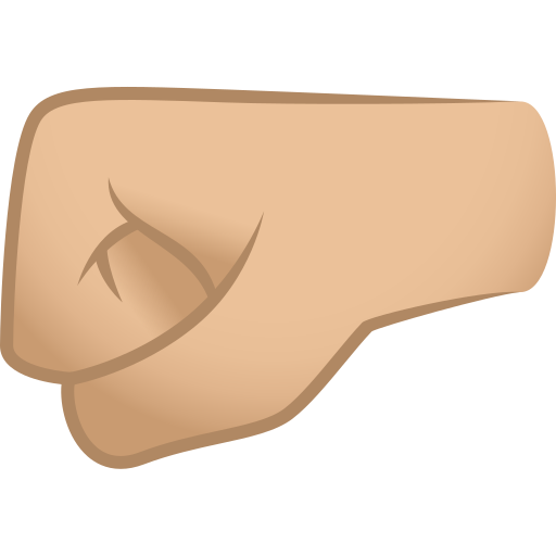 left-facing fist: medium-light skin tone as rendered by JoyPixels