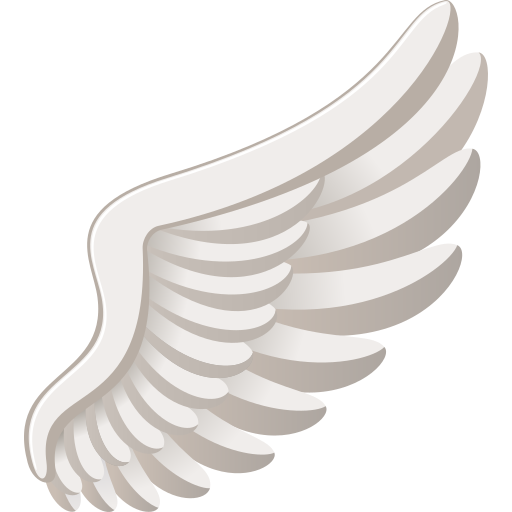 wing as rendered by JoyPixels