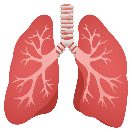 lungs as rendered by JoyPixels
