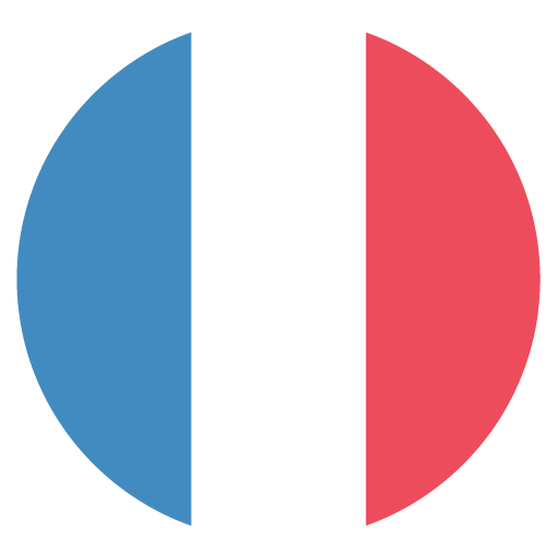 Flag: France, the previous design