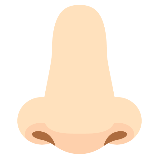Nose: Light Skin Tone, the previous design