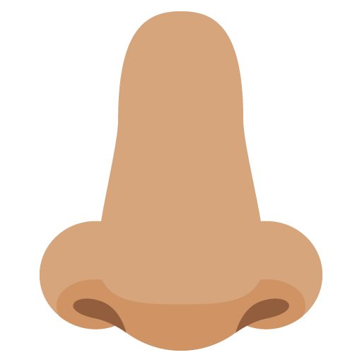 Nose: Medium Skin Tone, the previous design