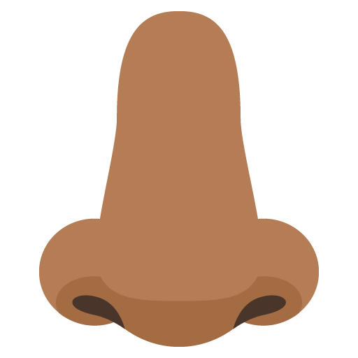 Nose: Medium-Dark Skin Tone, the previous design