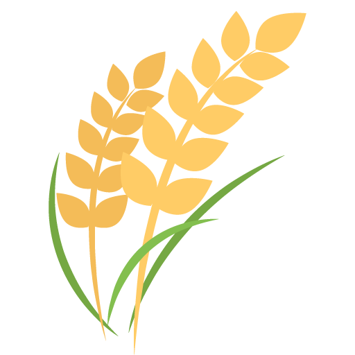 Sheaf of Rice, the design in this release