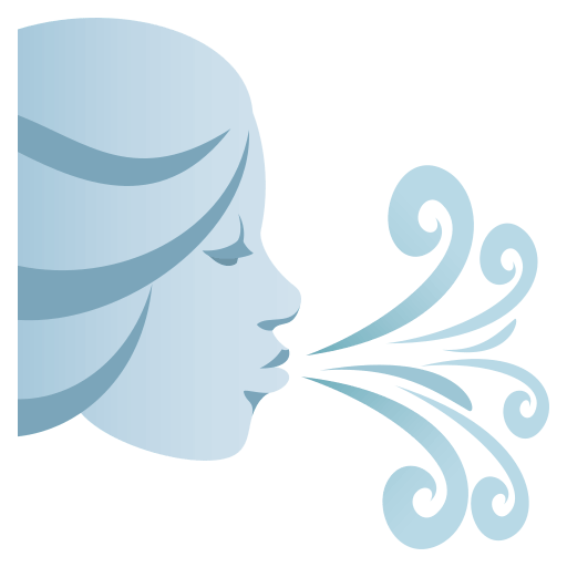 Wind Face as drawn by JoyPixels in 4.5
