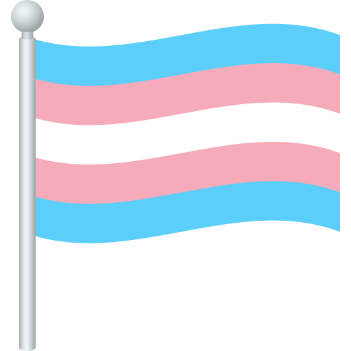 Transgender Flag, the design in this release
